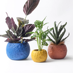 "RP140" Silicone planter mold