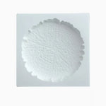 "JT69" Tray silicone mold