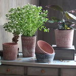 "RP138" Silicone planter mold