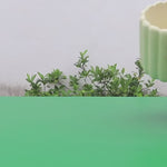 "RP121"Planter silicone mold