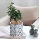 "B12" planter silicone mold - madmolds -