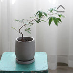 Brink Flowerpot silicone mold - madmolds -