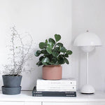 Can style concrete Pot mold - madmolds -