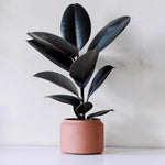 Can style concrete Pot mold - madmolds -