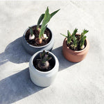 Can style concrete Pot mold - madmolds -