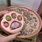 Cat paw planter silicone mold - madmolds -