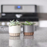 Flask flowerpot mold - madmolds - silicone mold