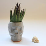 Geometric Skull Flowerpot Mold - madmolds - Geometric Skull Flowerpot