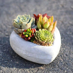 Heart Pot Mold - madmolds - Heart Pot