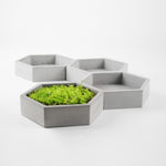 Hexagon Concrete Flower Pot Mold - madmolds - Hexagon Flower Pot