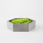 Hexagon Concrete Flower Pot Mold - madmolds - Hexagon Flower Pot