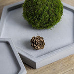 Hexagon Tray Silicone Mold - madmolds - Hexagon Tray