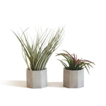 Mini plant pot mold - madmolds - silicone mold