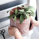 Nature flowerpot silicone mold - madmolds -