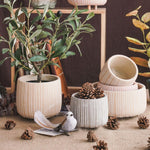 "R78" Bowl silicone mold