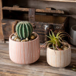 "R78" Bowl silicone mold