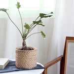 "RP1022" Planter silicone mold