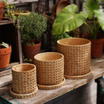 "RP1022" Planter silicone mold