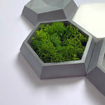 Rombi wall tile silicone mold - madmolds -