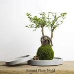 Round tray silicone molds - madmolds -