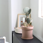 "RP131" Silicone planter mold