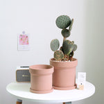 "RP131" Silicone planter mold