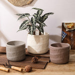 "RP134" Silicone planter mold