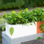 "RSP10" Rectangular planter mold