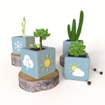 "SP111" Planter silicone mold