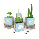 "SP111" Planter silicone mold