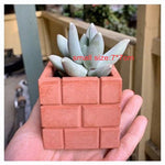 "SP91" Planter silicone mod