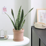 "RP131" Silicone planter mold