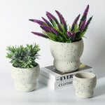 "RP129" Silicone planter mold