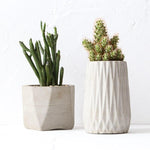 Small plant planter molds - madmolds -