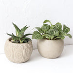 Small plant planter molds - madmolds -