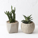 Small plant planter molds - madmolds -