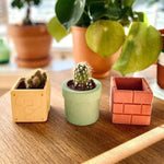 Small planter silicone molds - madmolds -