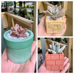 Small planter silicone molds - madmolds -