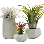 Tiny concrete planter mold - madmolds - silicone mold