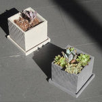 Tusk square flowerpot molds - madmolds -