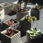 Tusk square flowerpot molds - madmolds -