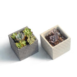 Tusk square flowerpot molds - madmolds -
