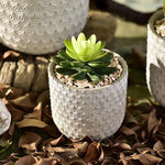 "Weave "Flowerpot silicone mold - madmolds -