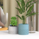 "RP123" Planter silicone mold