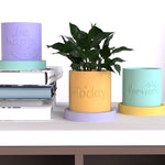 "RP124" Planter silicone mold