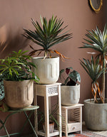 "RP126" Silicone planter mold