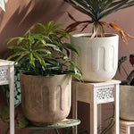 "RP126" Silicone planter mold