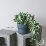 "RP127" Silicone planter mold