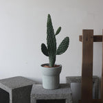 "RP127" Silicone planter mold