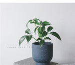 "RP127" Silicone planter mold